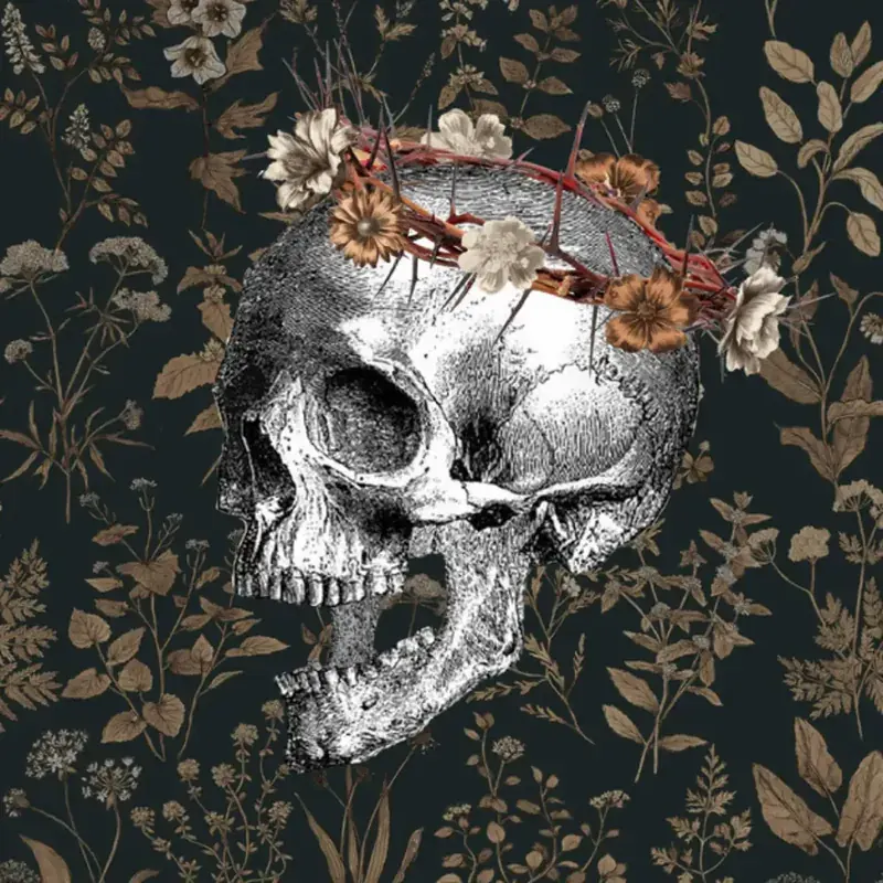 Portada de Manifiesto, de Half Blood